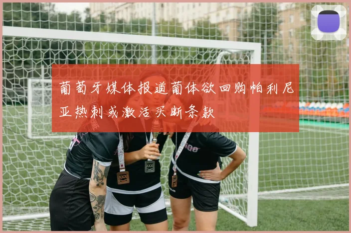 葡萄牙媒体报道葡体欲回购帕利尼亚热刺或激活买断条款