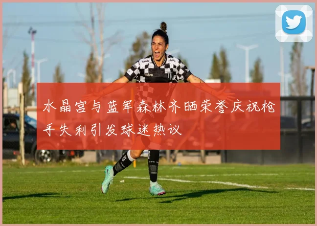 水晶宫与蓝军森林齐晒荣誉庆祝枪手失利引发球迷热议